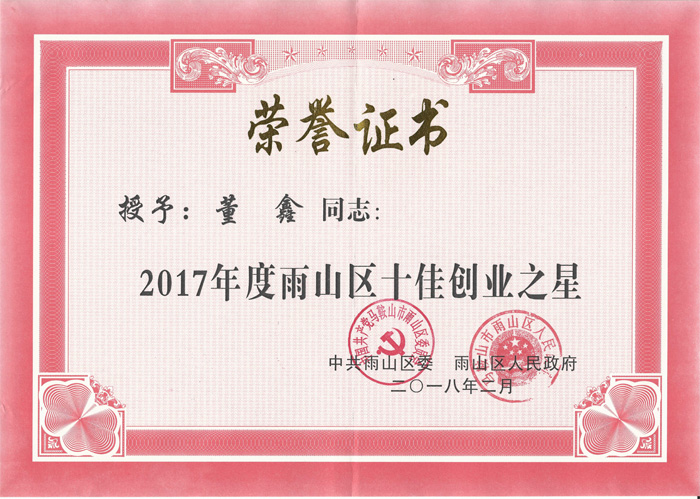 斯塔克董鑫創(chuàng)業(yè)之星榮譽(yù)證書