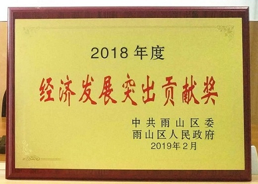 2018年度經(jīng)濟發(fā)展突出貢獻獎