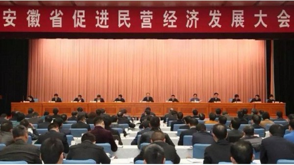 安徽省促進(jìn)民營經(jīng)濟(jì)發(fā)展大會(huì)